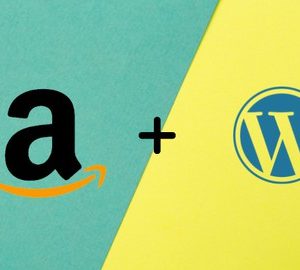 Amazon Affiliate AutoBlog -Complete WordPress Website Course